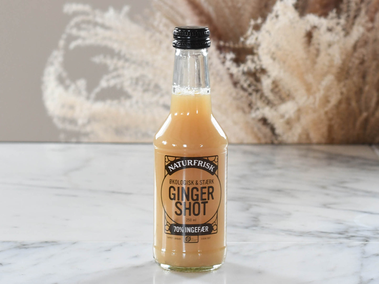 Shot Ginger 25 cl